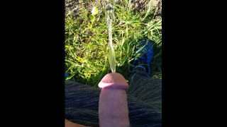 Stud pisses huge with half-mast beautiful cock...